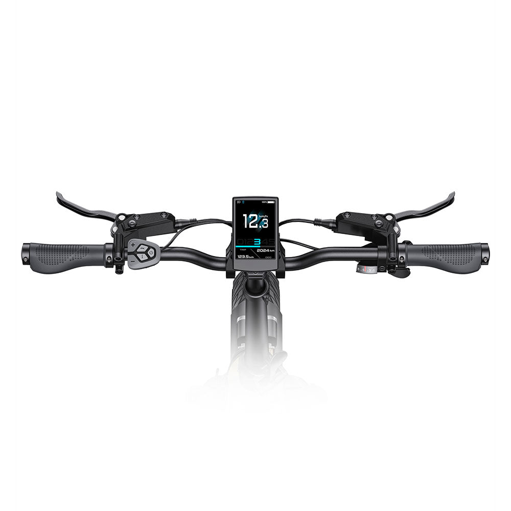 Engwe L20 3.0 PRO 250W Mid-drive Motor 20" Foldable Electric Bike 720Wh Step-through E-bike Support Apps