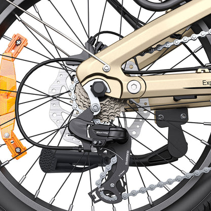 Engwe L20 3.0 PRO 250W Mid-drive Motor 20" Foldable Electric Bike 720Wh Step-through E-bike Support Apps