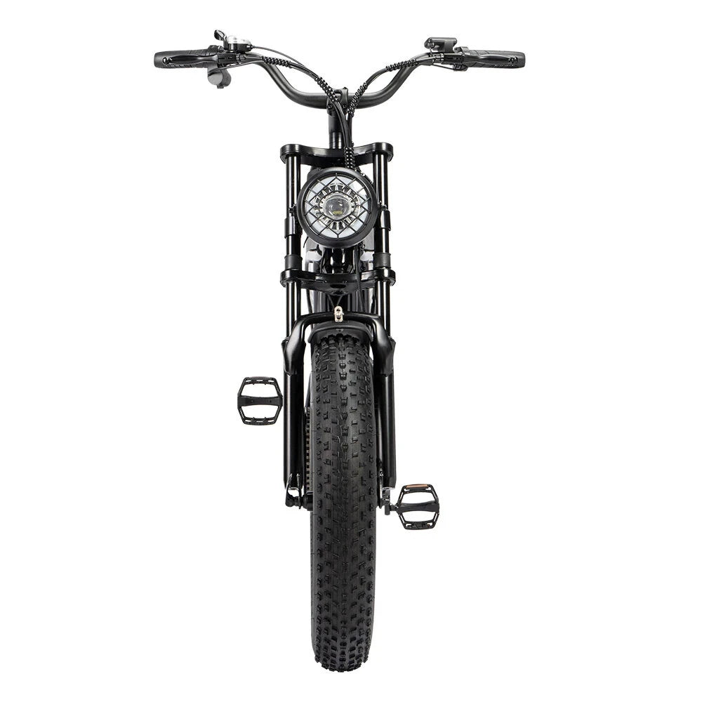 RIDSTAR Q20 Lite 20" Fat Tires Electric Bike 1000W Motor 48V 15Ah Battery