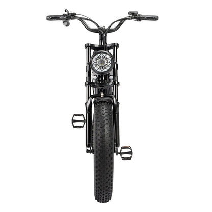 RIDSTAR Q20 Lite 20" Fat Tires Electric Bike 1000W Motor 48V 15Ah Battery