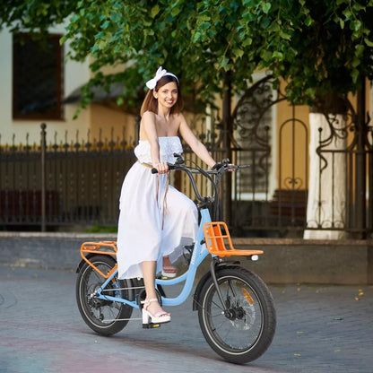 Hidoes C6 Fat Tire E-Bike – 250W Motor, 36V Battery, 24KMH, 40KM Range