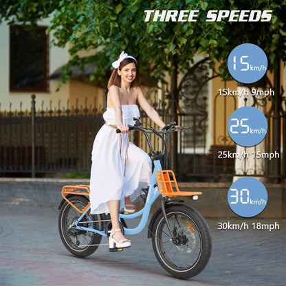 Hidoes C6 Fat Tire E-Bike – 250W Motor, 36V Battery, 24KMH, 40KM Range