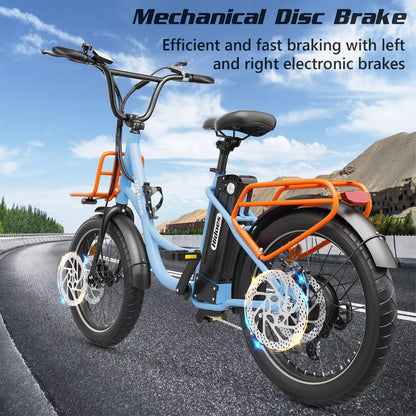 Hidoes C6 Fat Tire E-Bike – 250W Motor, 36V Battery, 24KMH, 40KM Range